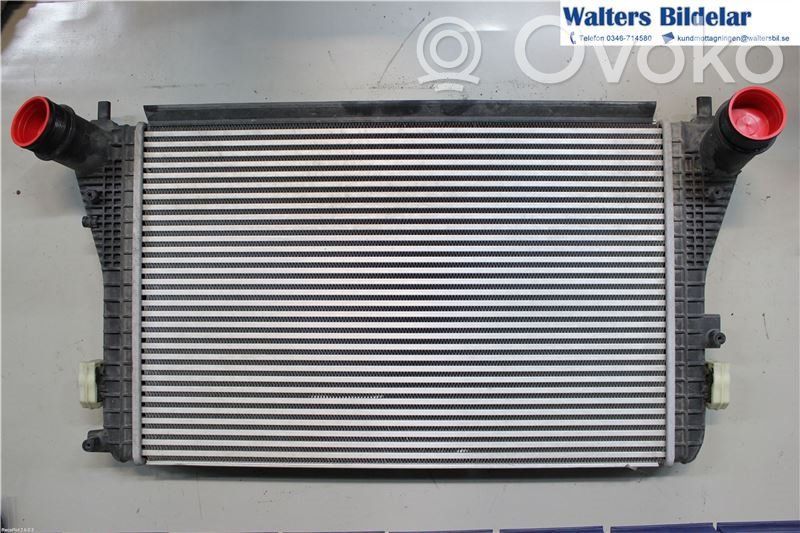 Radiatore intercooler   3C0145805AN