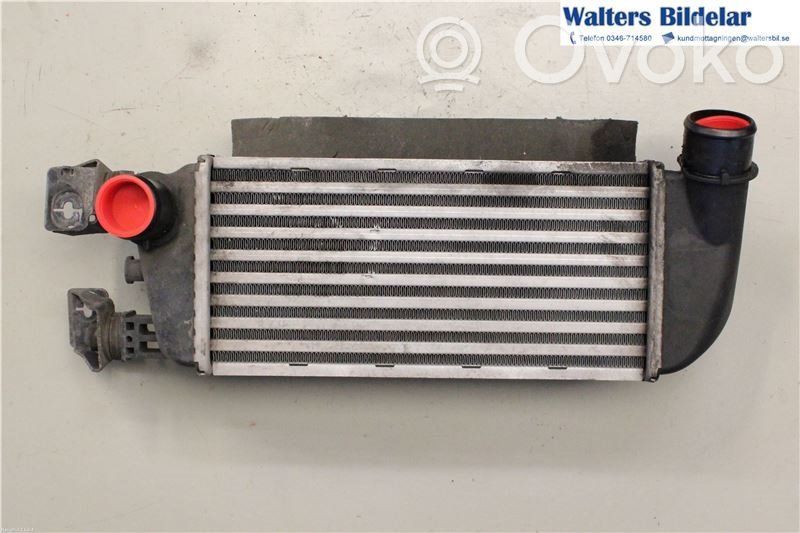 Radiator intercooler   1560794,878350000
