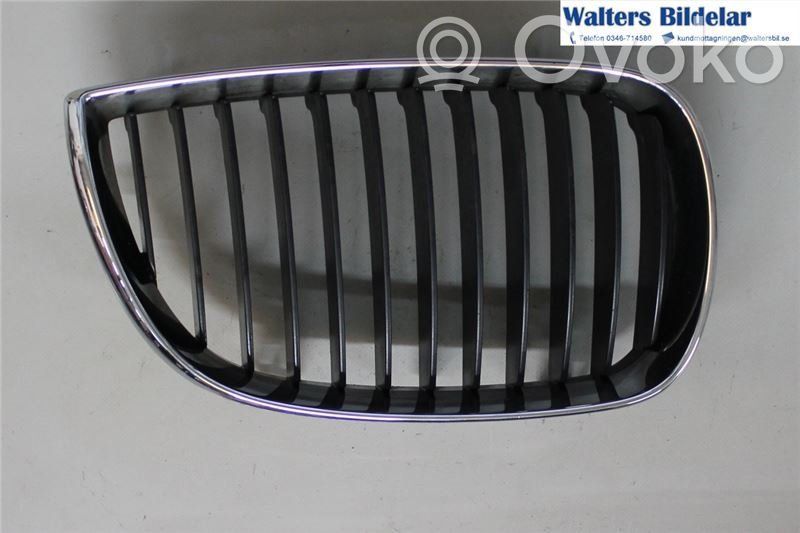 BMW 1 E81 E87 Mascherina inferiore del paraurti anteriore 