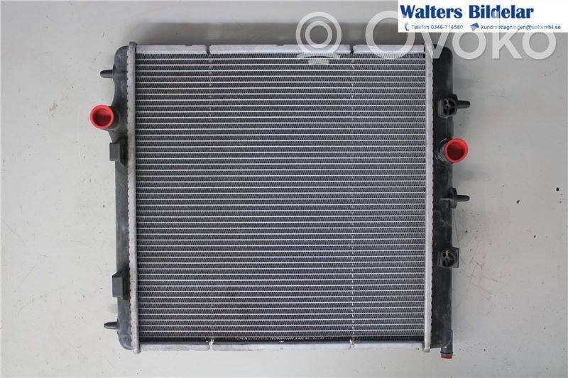 Peugeot 207 Radiator lichid răcire 