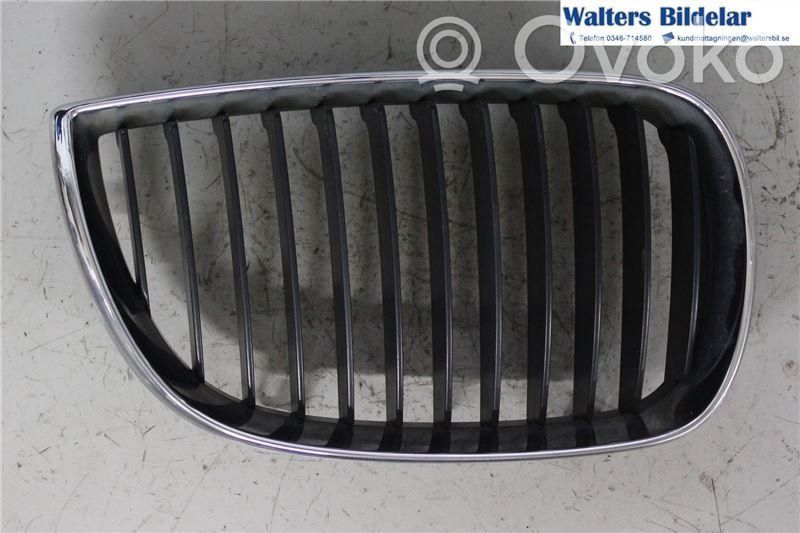 BMW 1 E81 E87 Mascherina inferiore del paraurti anteriore 