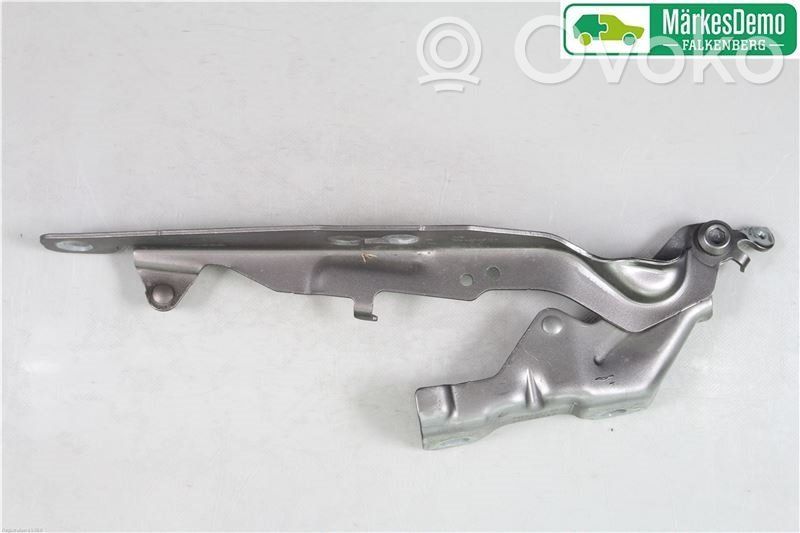 Charnière, capot moteur   31250186,31250186
