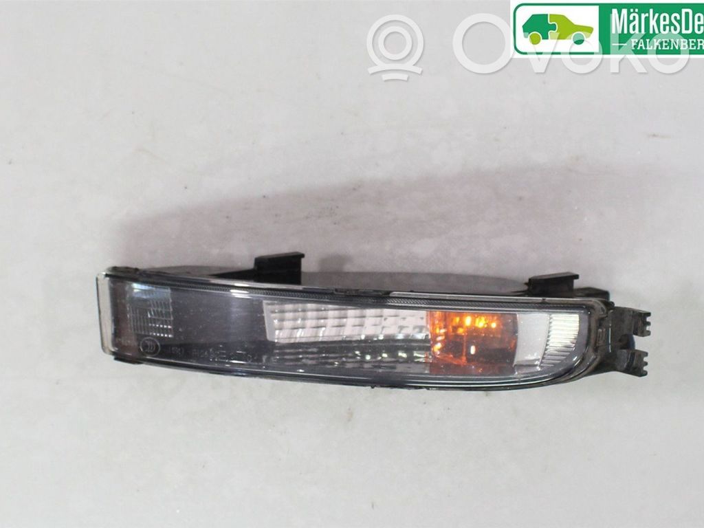Volkswagen Beetle A5 Frontblinker 