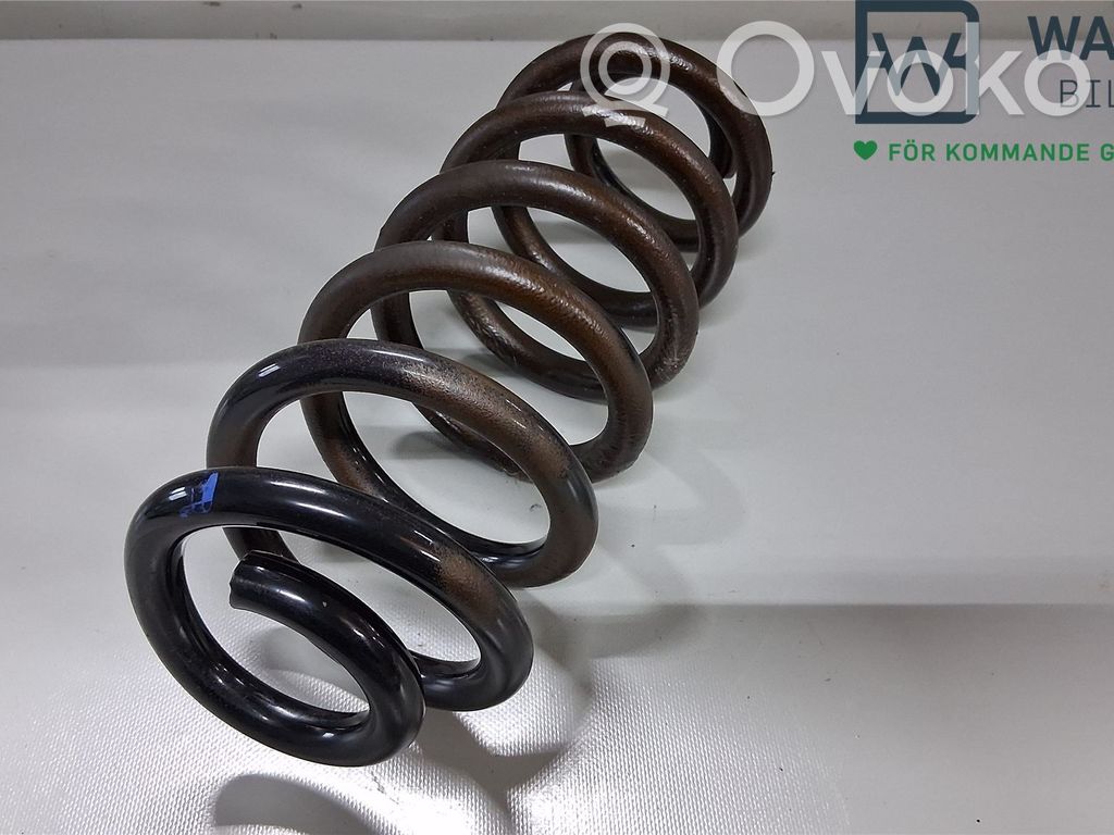 Feder hinten   11842289