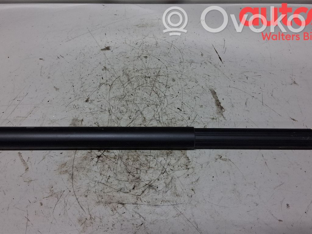 Volkswagen Tiguan Amortyzator / Siłownik tylnej klapy bagażnika 