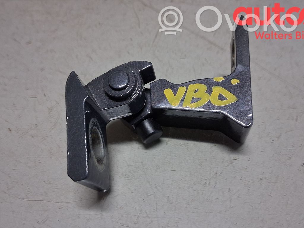 Volkswagen Golf VIII Cerniera superiore della portiera posteriore 