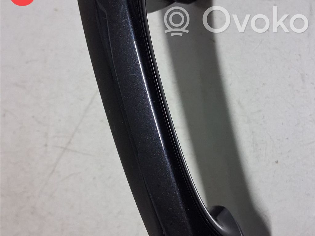 BMW X3 G01 Manecilla externa puerta delantera 