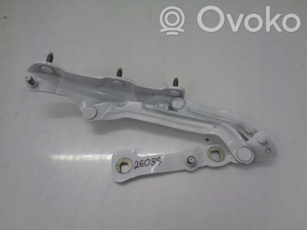 Tesla Model 3 Tailgate/trunk/boot hinge 
