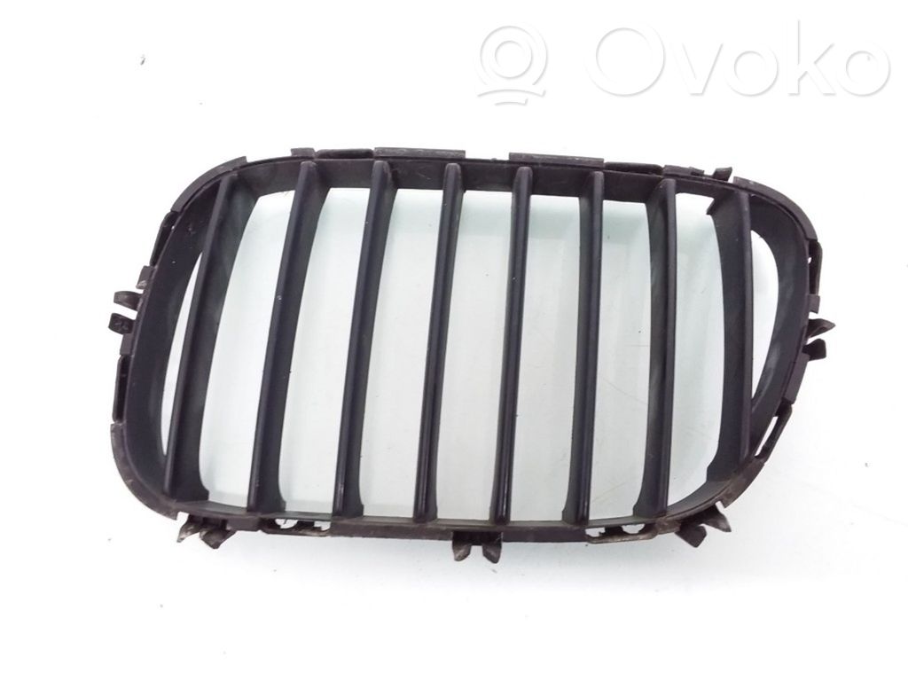 BMW X5 E53 Front grill 