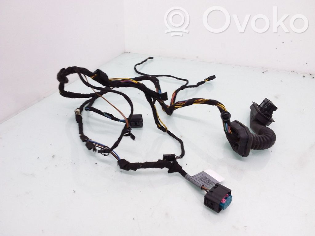 BMW X5 E53 Cableado de puerta trasera 