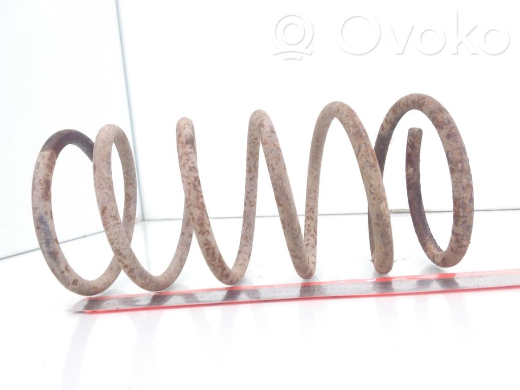 Front coil spring