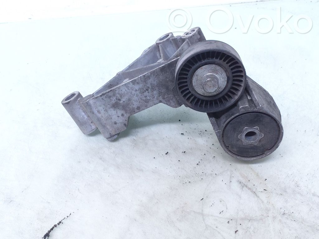 Ford Transit -  Tourneo Connect Întinzător curea generator/alternator 