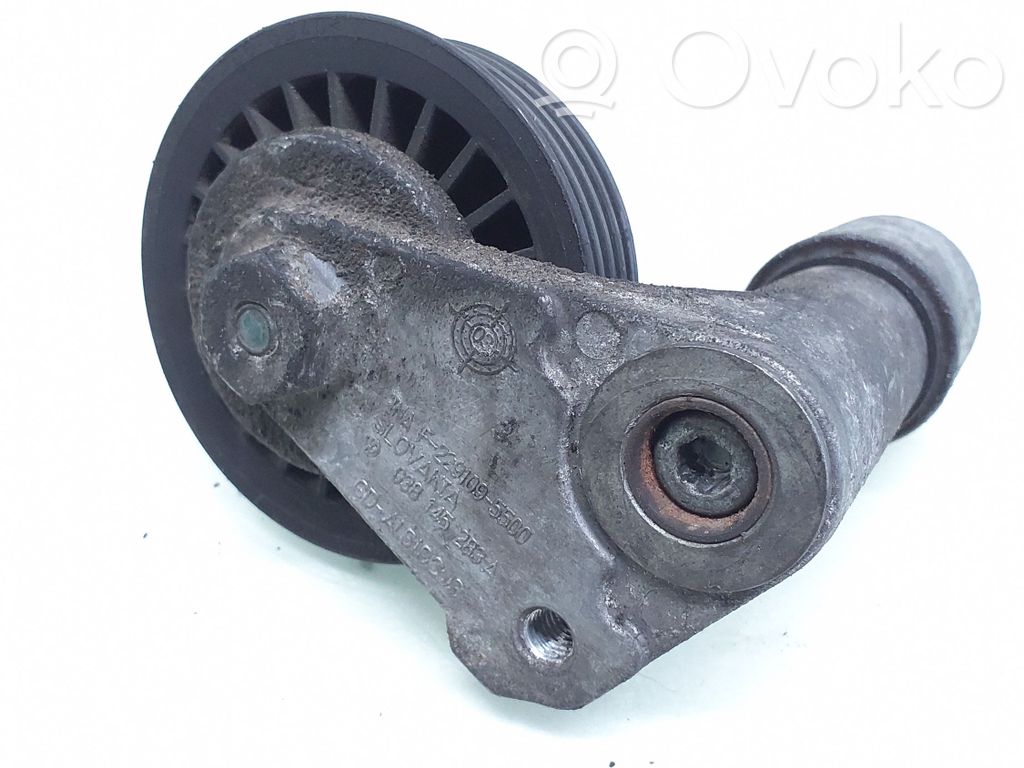 Volkswagen PASSAT B5 Tendicinghia generatore/alternatore