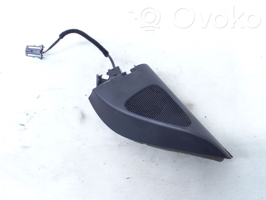 Volkswagen PASSAT B6 Tweeter ușă față 