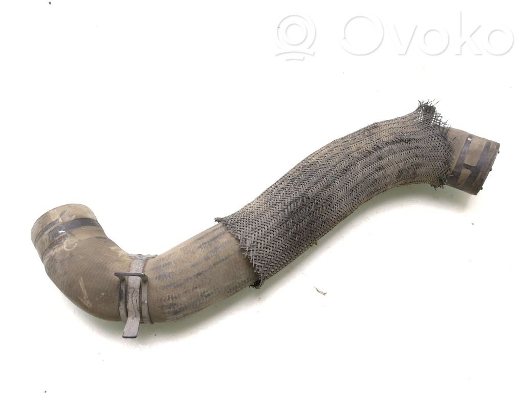 Caurulīte (-es) / šļūtene (-es)