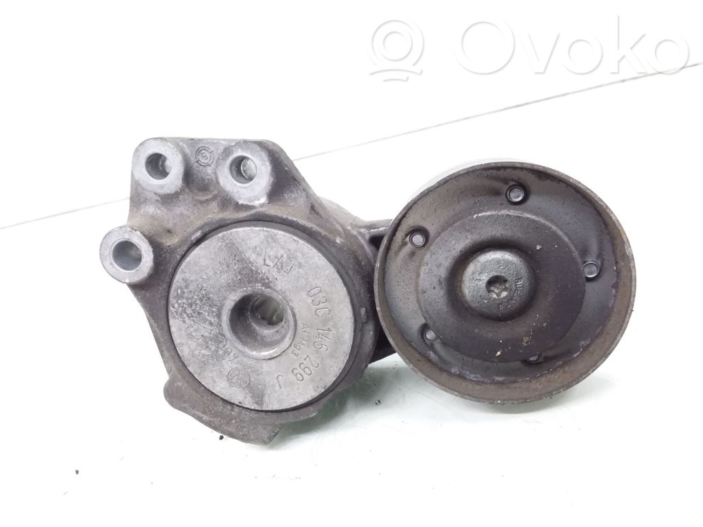 Volkswagen PASSAT B7 Napinacz paska alternatora 