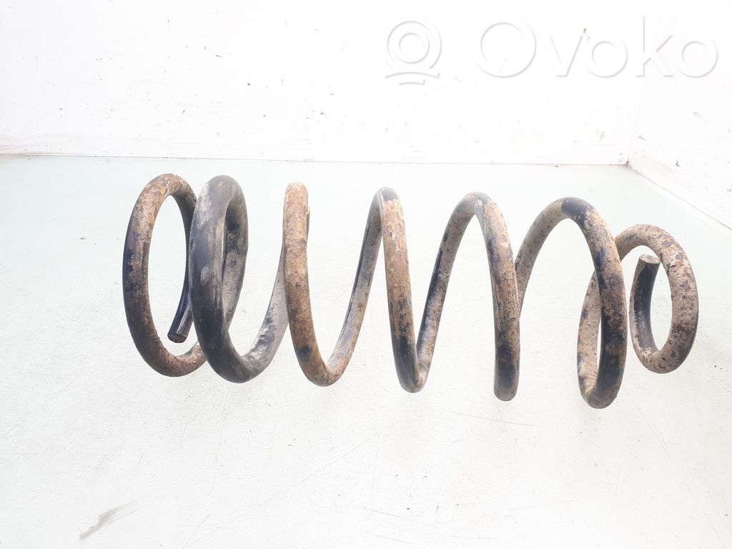 Rear coil spring
