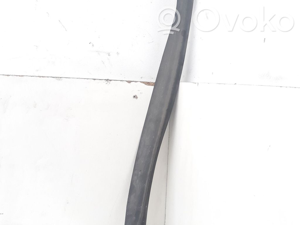 Volkswagen Golf V Barra di rivestimento della portiera anteriore