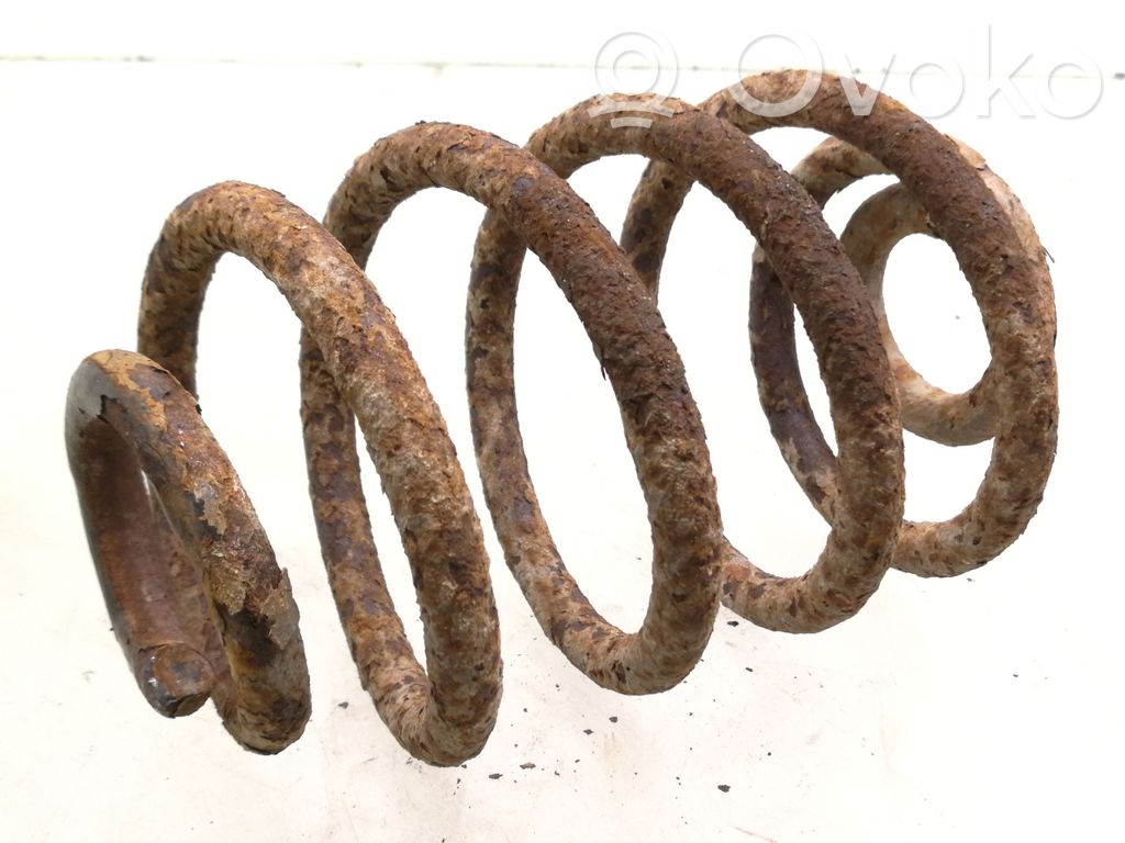 Muelle espiral trasero