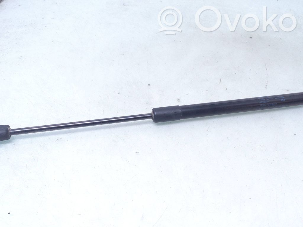 Volkswagen PASSAT B6 Amortizor hayon 