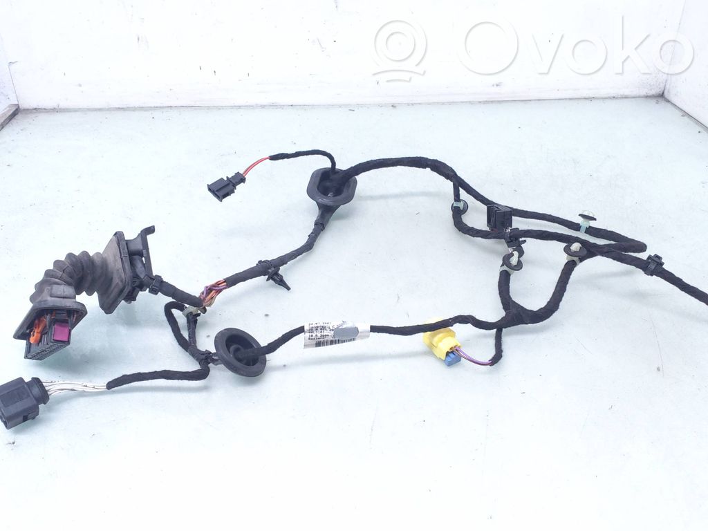 Volkswagen PASSAT B6 Cableado de puerta delantera 