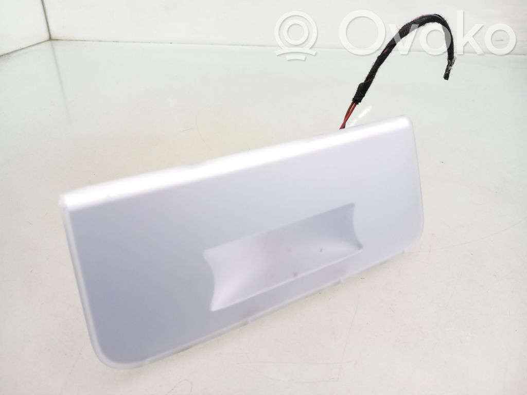 Luz del asiento trasero   6951252,0311390001