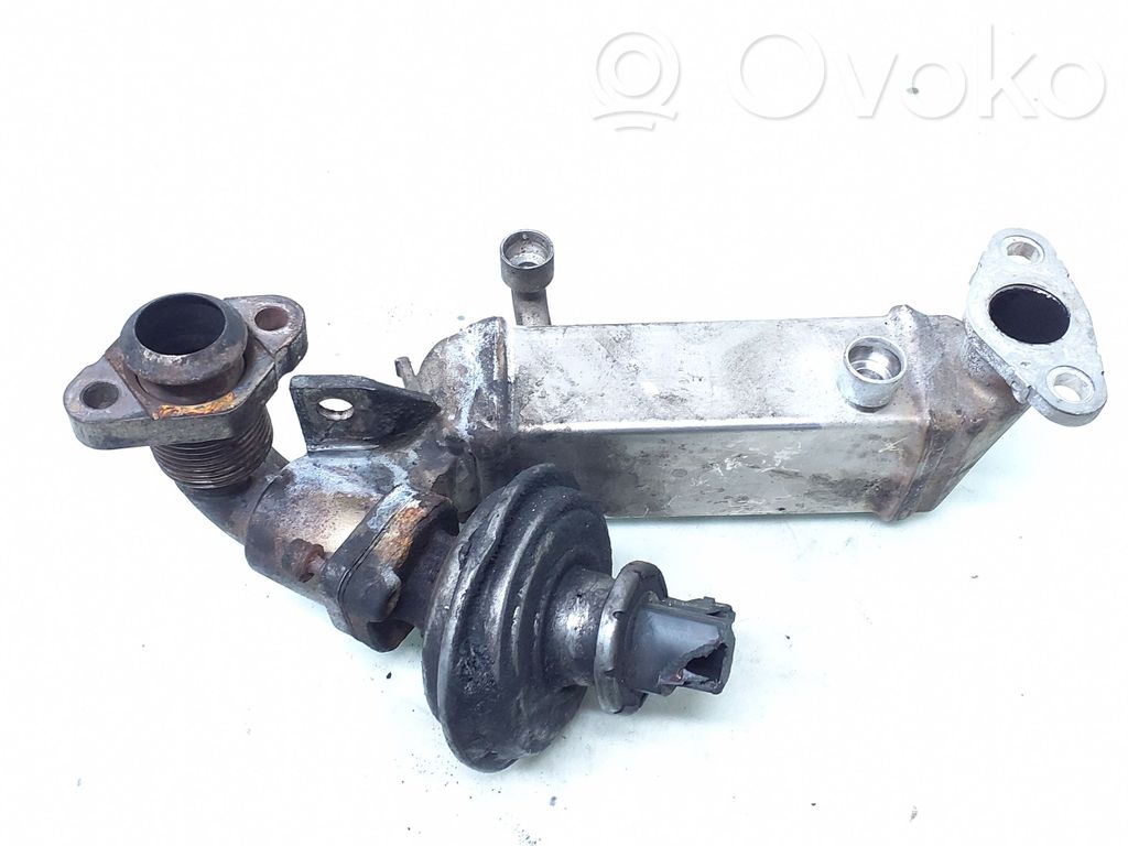 BMW 3 E90 E91 EGR aušintuvas 