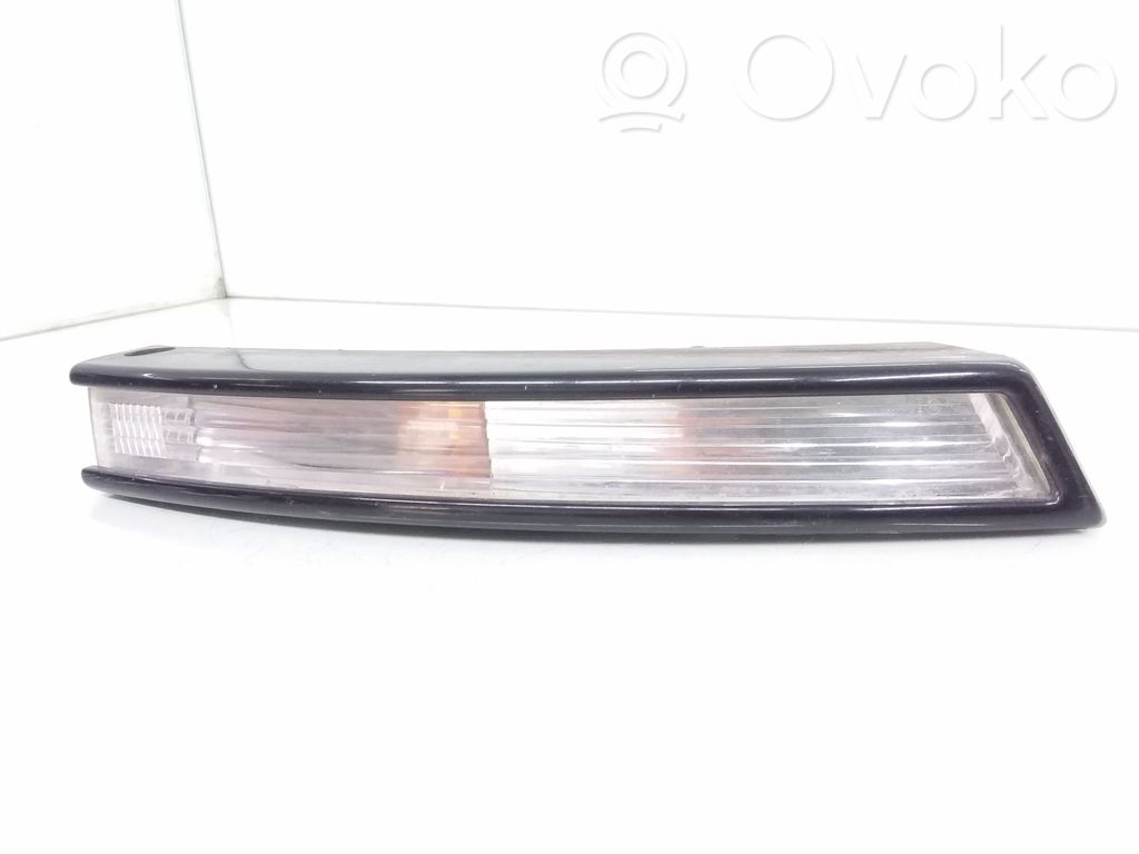 Volkswagen PASSAT B6 Front indicator light