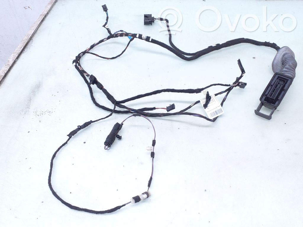 BMW 1 F20 F21 Wiązka przewodów drzwi przednich 