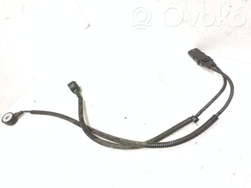 Detonation knock sensor   7566785
