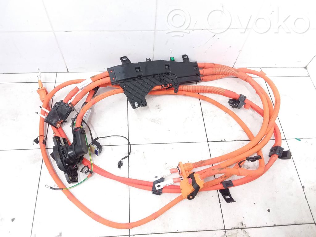 Polestar 2 Toma de carga para coche eléctrico 