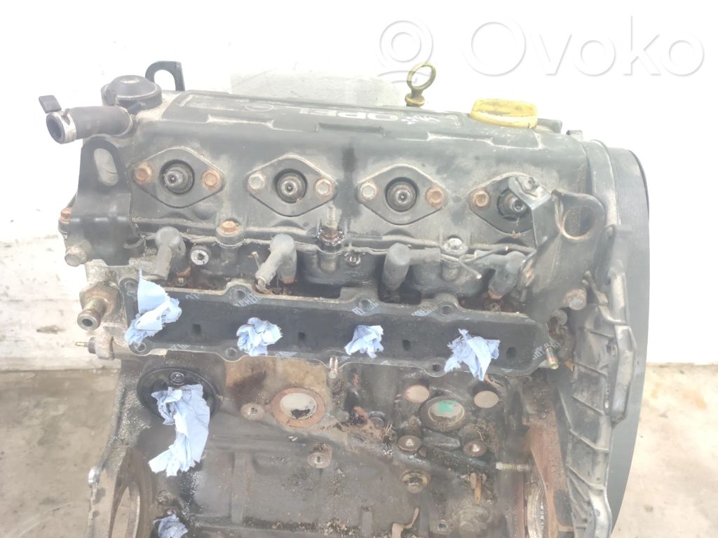 Motor   Y17DT