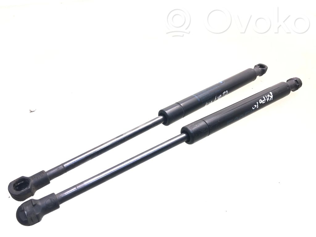 Vérin, capot-moteur   7008745,51237008745