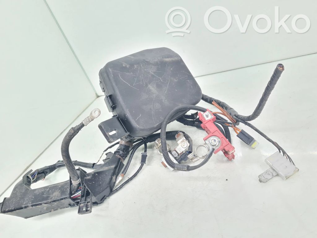 Fuse module   D10A67730,V23134J59X431,ACVN51212,80323F,D09W66767,PE05188A1