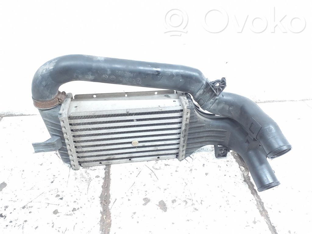 Radiatore intercooler   24406701