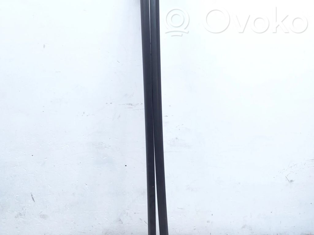 Relingi dachowe   307718,307717