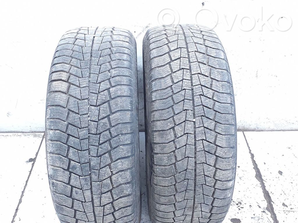 Opony zimowe R16   20555R16,GISLAVED,EUROFROST6