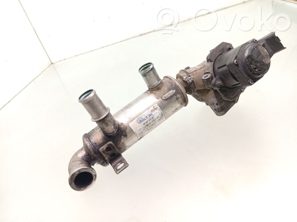 Citroen Xsara Picasso Zawór EGR 