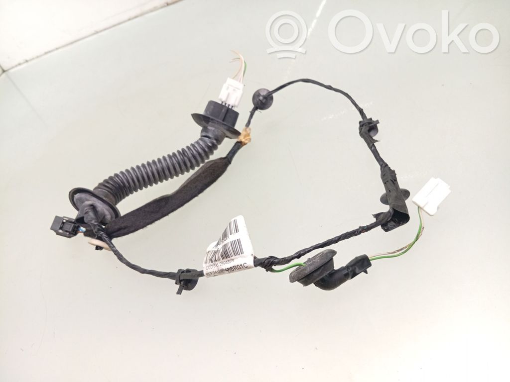 Cableado de puerta trasera   241269488R,488R01C,676269488R