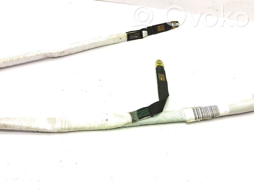 BMW 3 E46 Airbag del techo 