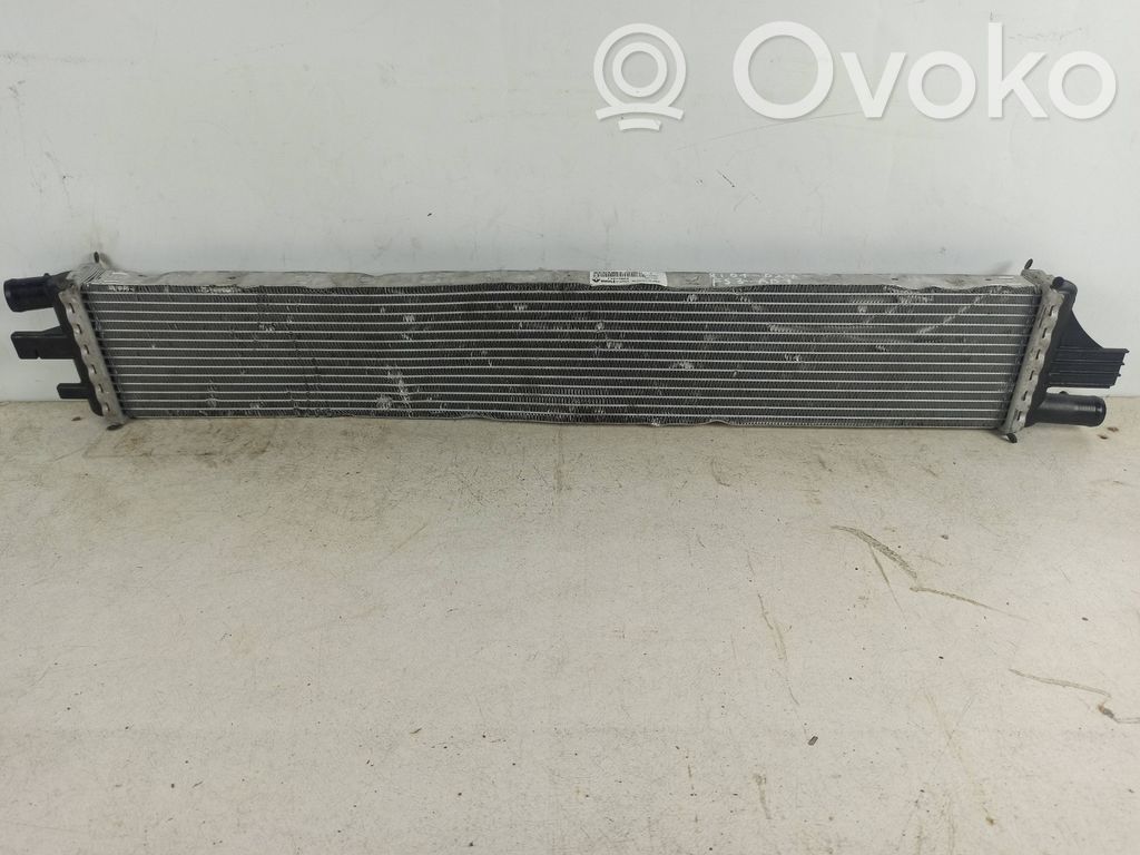 Interkūlerio radiatorius   214C10001R,T1077003,0248038,2147000Q0A,4421154,7485123645,93168915,R60001