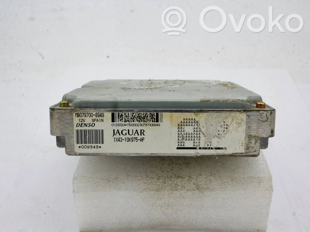 Jaguar X-Type Engine control unit/module 