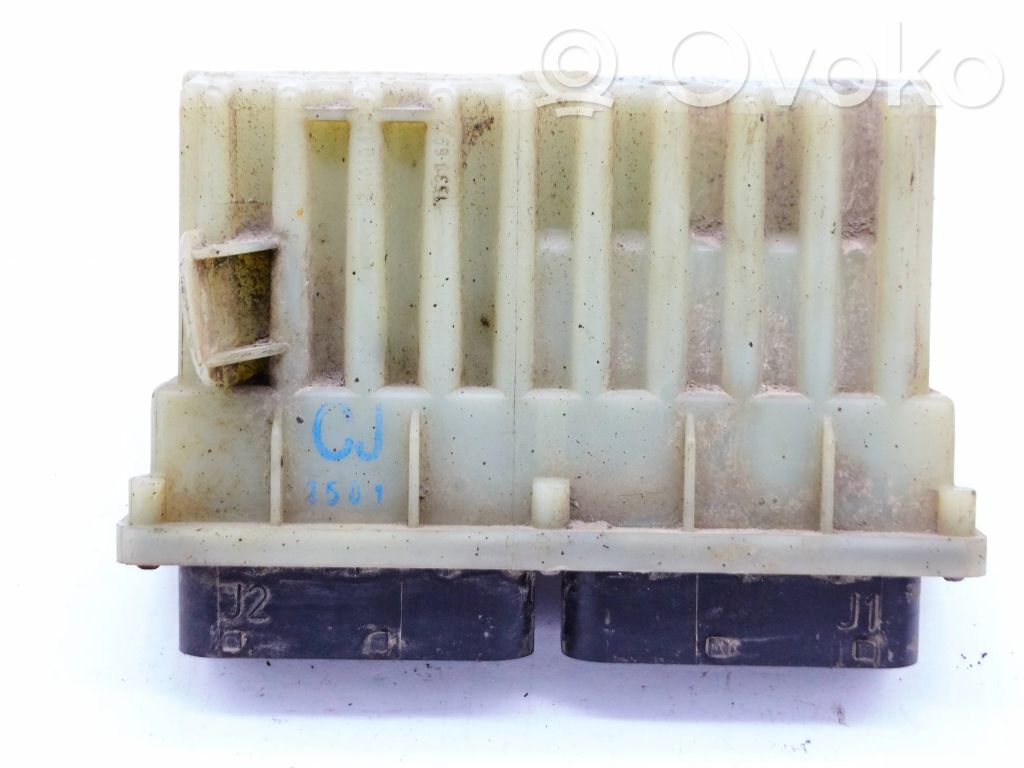 Engine control unit/module   24410130