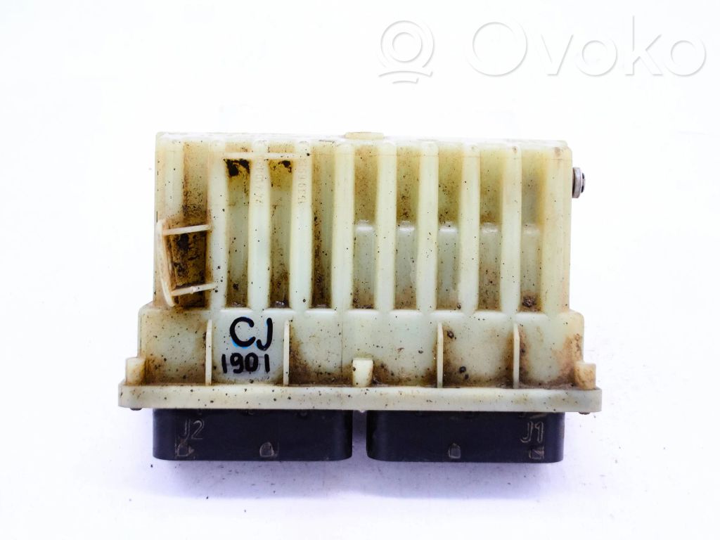 Engine control unit/module   24410130,CJ1901