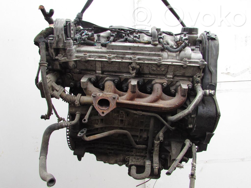 Variklis   D5244T,6900679