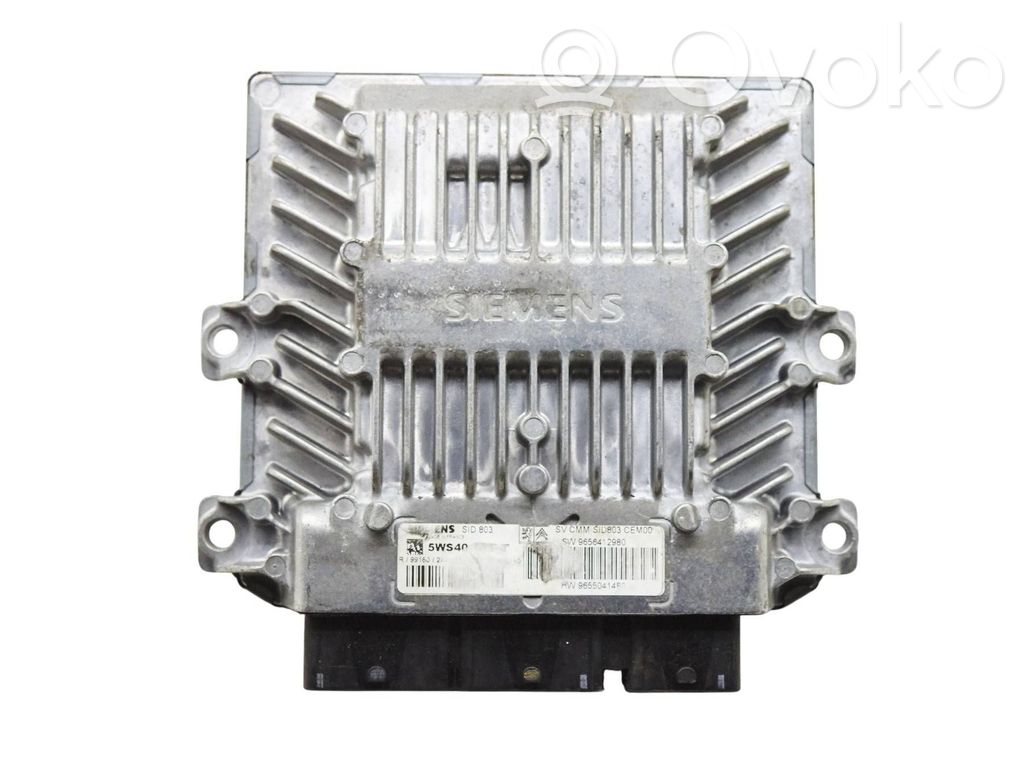 Peugeot 407 Engine control unit/module 