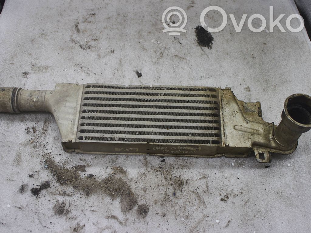 Intercooler radiator   24466787