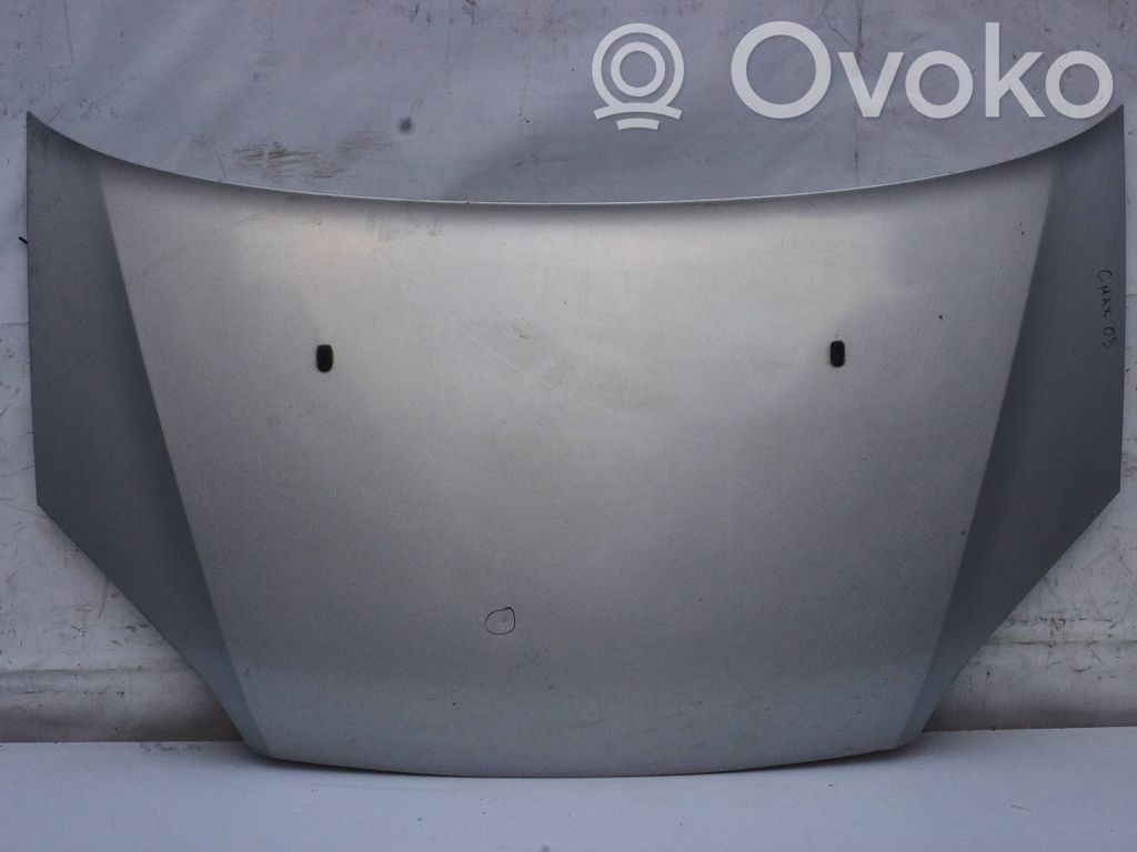 Engine bonnet/hood