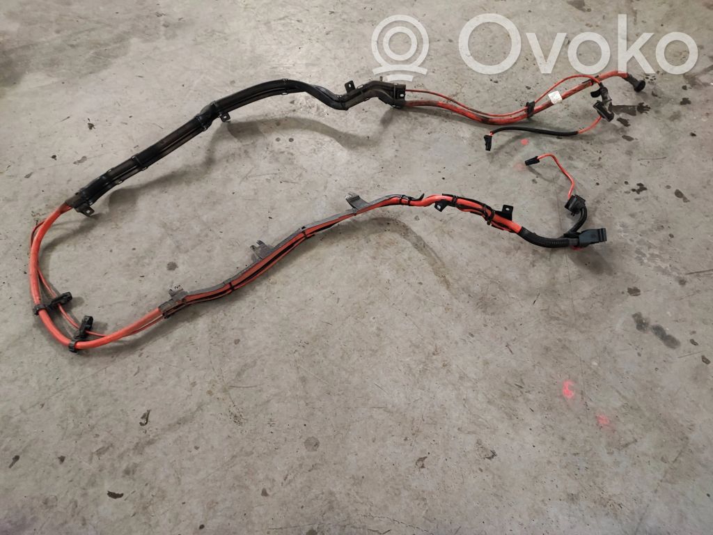 BMW X6 E71 Pliusinis laidas (akumuliatoriaus) 