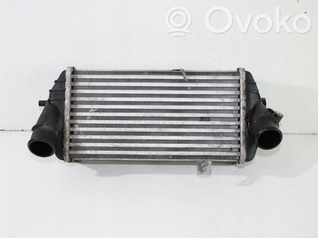 Radiador intercooler   P282702A590,282702A590,U2EU6